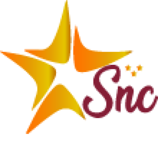 Logo Stars N Celebs